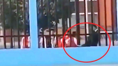 南华学校爆料视频最新